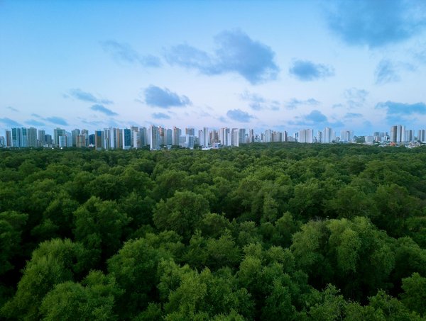 Les pièges à éviter en portage salarial : guide pratique et conseils