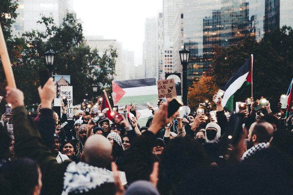 4 critères essentiels pour choisir une assurance animaux de compagnie