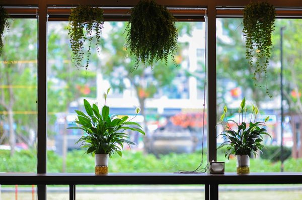 Chatgpt ne fonctionne pas : comment résoudre les problèmes courants